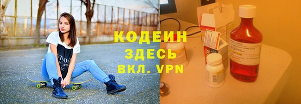 индика Сафоново