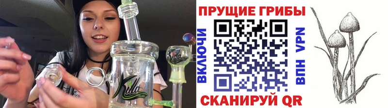 даркнет сайт  Курлово  Галлюциногенные грибы Cubensis 