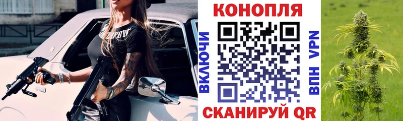 MEGA маркетплейс Курлово МАРИХУАНА гибрид